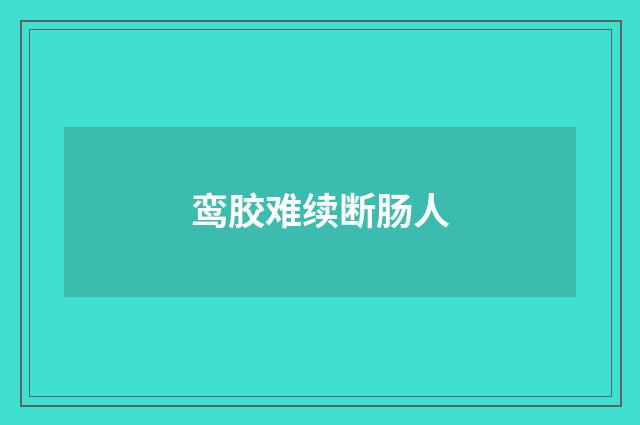 鸾胶难续断肠人
