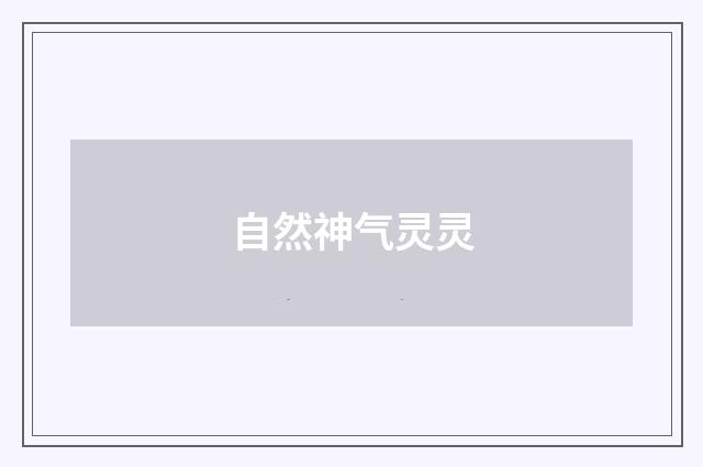 自然神气灵灵