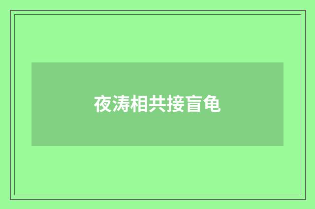 夜涛相共接盲龟