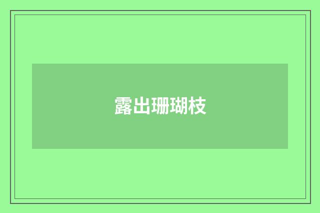 露出珊瑚枝