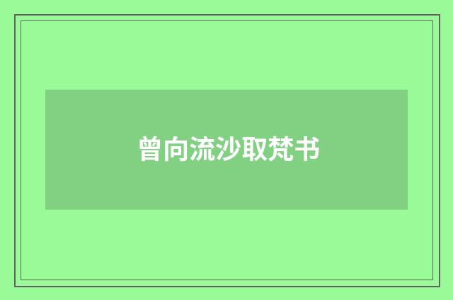 曾向流沙取梵书