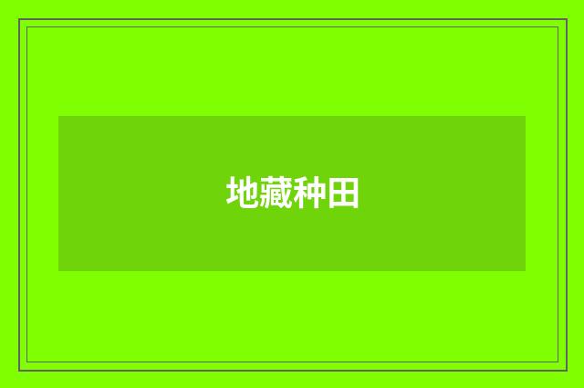地藏种田