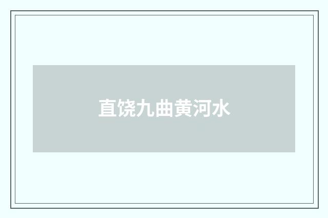 直饶九曲黄河水