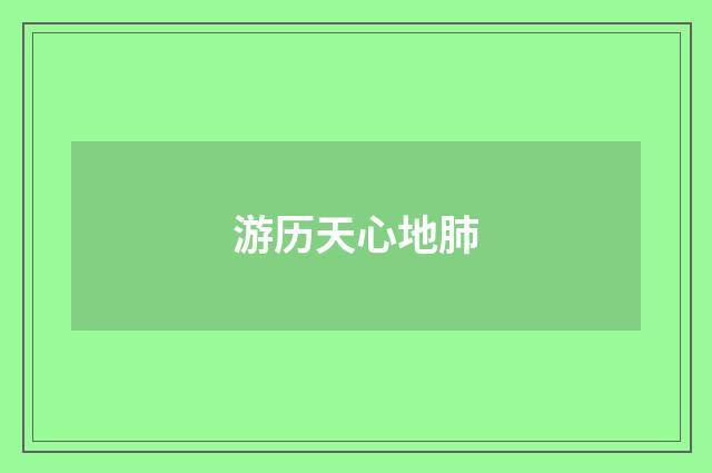 游历天心地肺