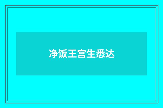 净饭王宫生悉达