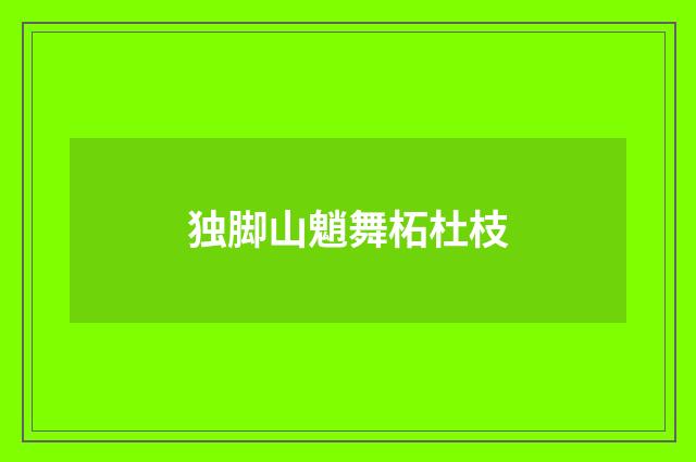 独脚山魈舞柘杜枝