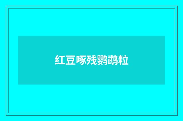 红豆啄残鹦鹉粒