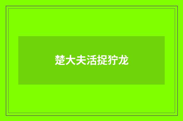 楚大夫活捉狞龙