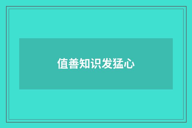 值善知识发猛心