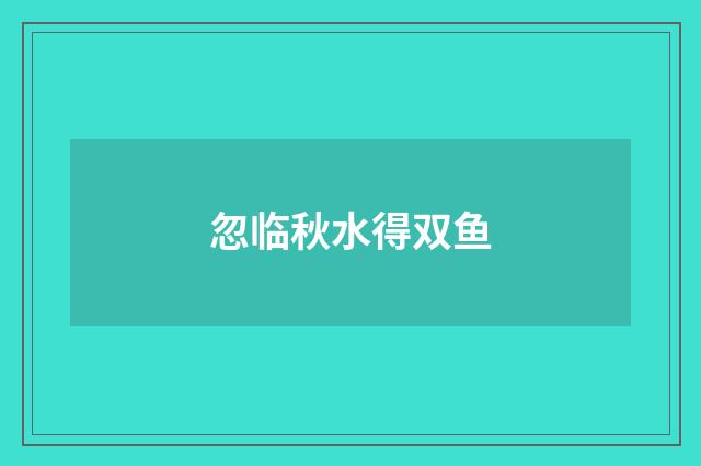 忽临秋水得双鱼