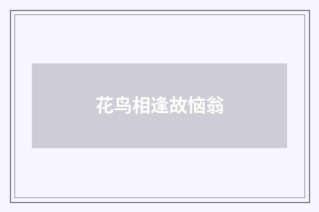 花鸟相逢故恼翁