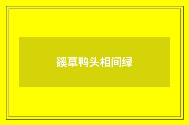 豀草鸭头相间绿
