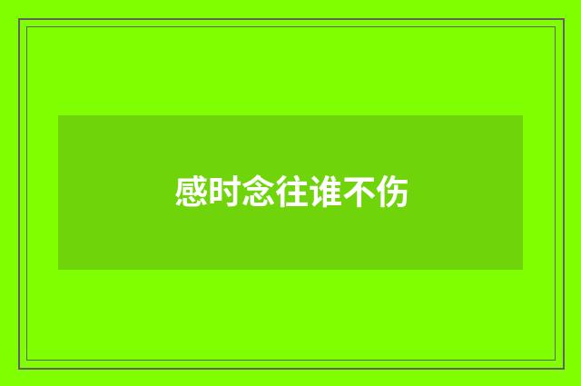 感时念往谁不伤