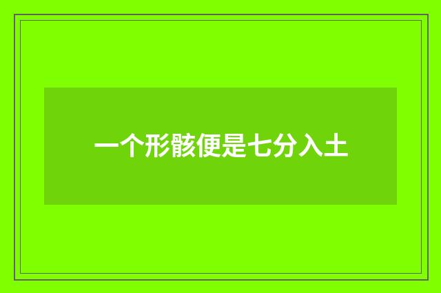 一个形骸便是七分入土