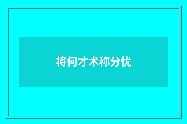 将何才术称分忧