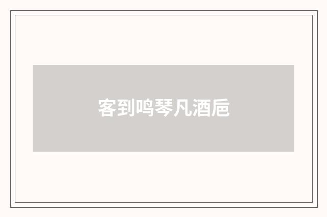 客到鸣琴凡酒巵