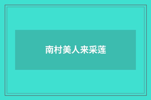 南村美人来采莲