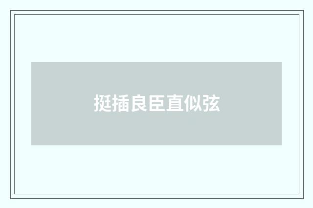 挺插良臣直似弦