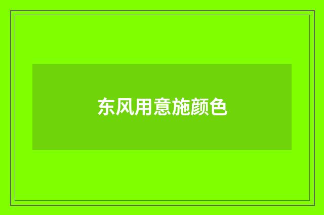 东风用意施颜色