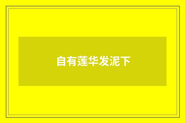 自有莲华发泥下