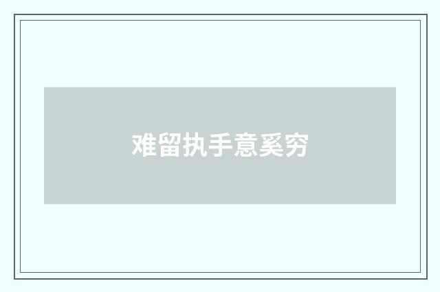 难留执手意奚穷