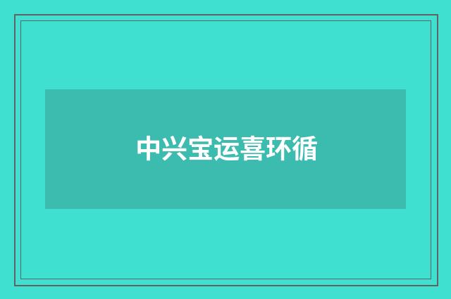 中兴宝运喜环循