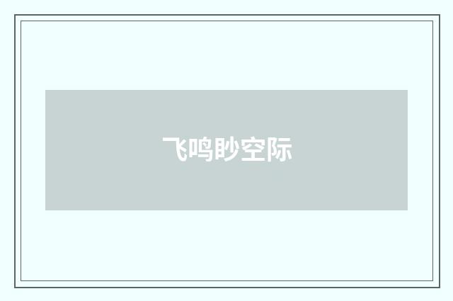 飞鸣眇空际