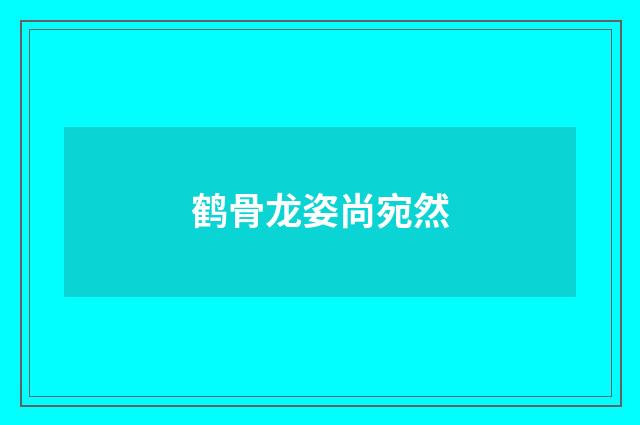 鹤骨龙姿尚宛然
