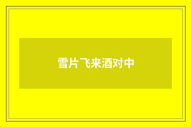 雪片飞来酒对中