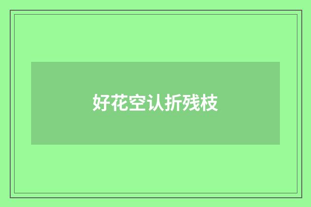 好花空认折残枝