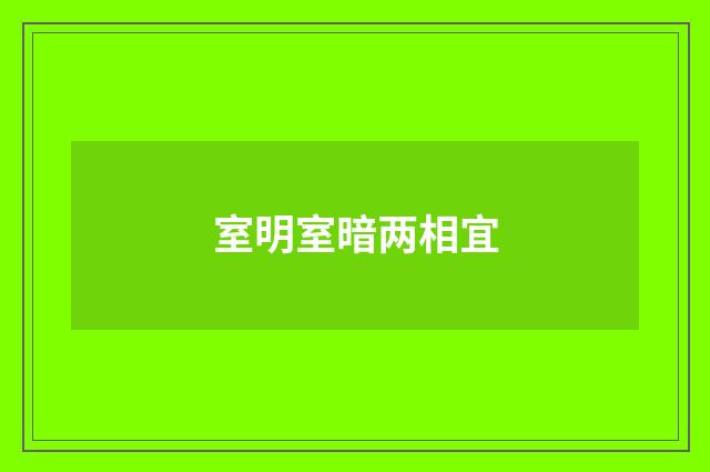 室明室暗两相宜