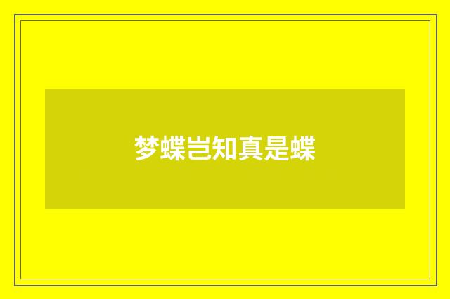 梦蝶岂知真是蝶