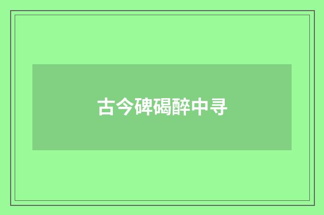 古今碑碣醉中寻