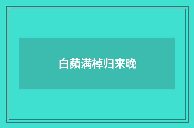 白蘋满棹归来晚