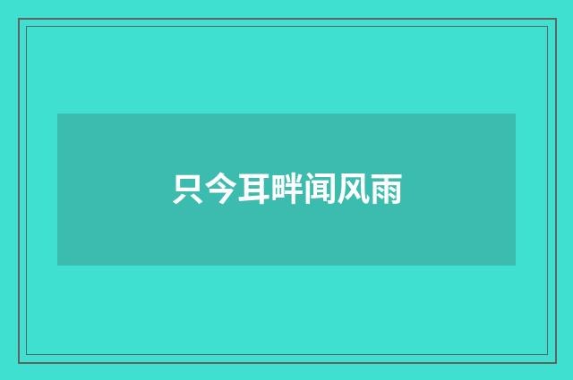 只今耳畔闻风雨