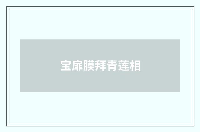 宝扉膜拜青莲相