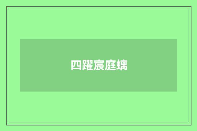 四躍宸庭螭