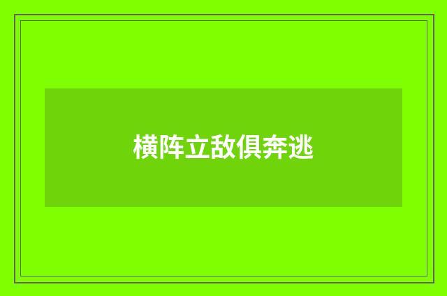 横阵立敌俱奔逃