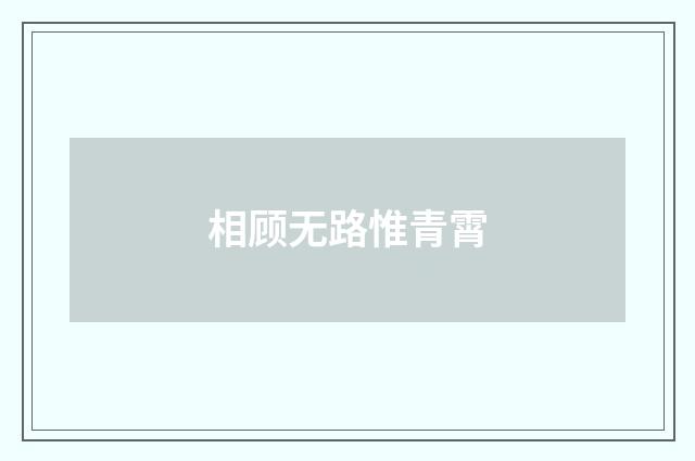 相顾无路惟青霄