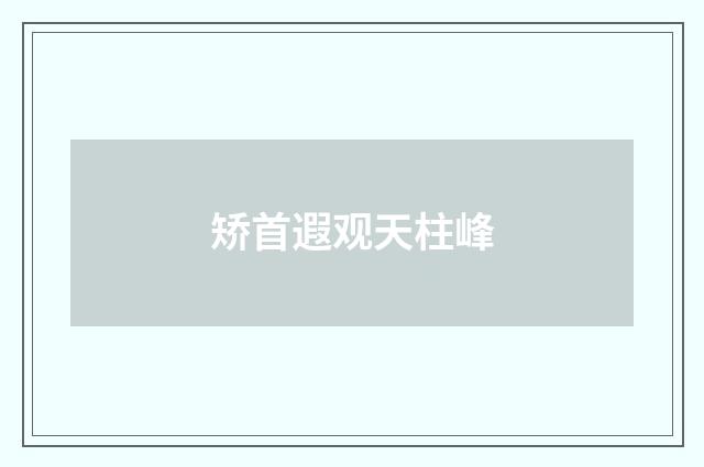 矫首遐观天柱峰