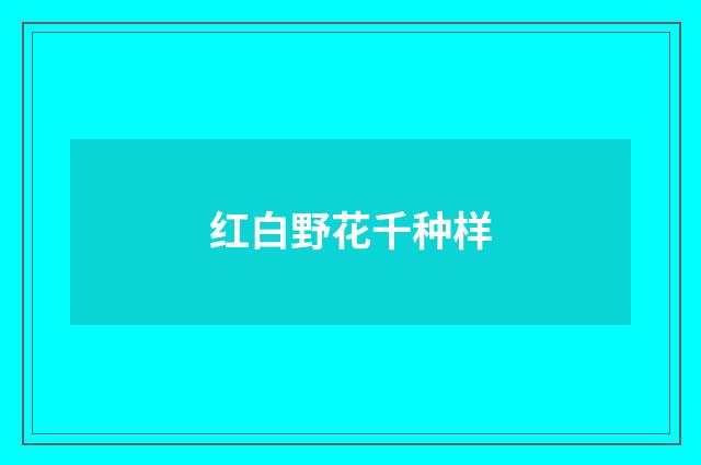 红白野花千种样