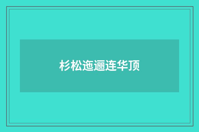 杉松迤逦连华顶