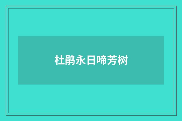 杜鹃永日啼芳树