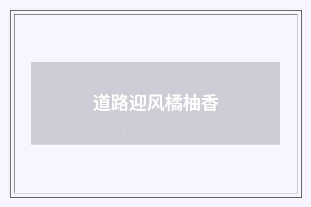 道路迎风橘柚香