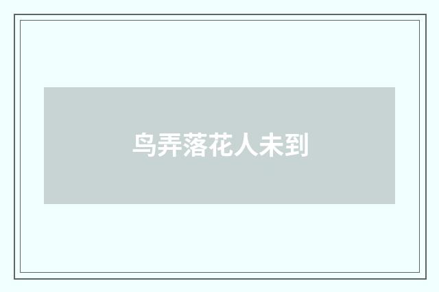 鸟弄落花人未到