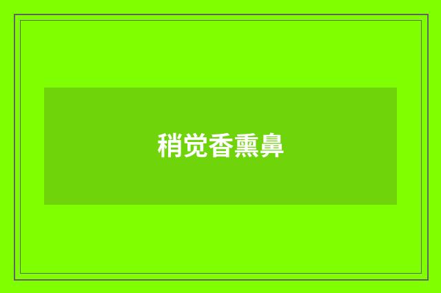 稍觉香熏鼻