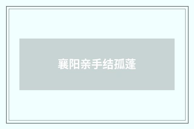 襄阳亲手结孤蓬