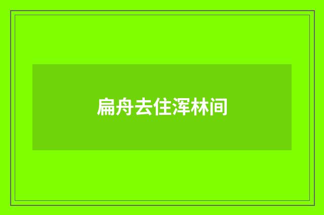 扁舟去住浑林间