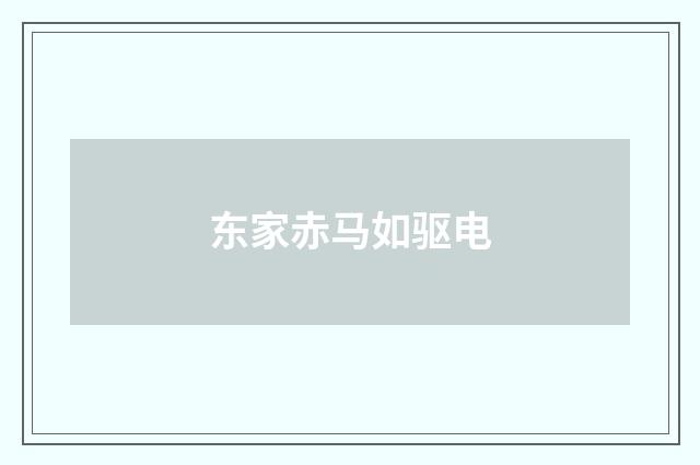 东家赤马如驱电