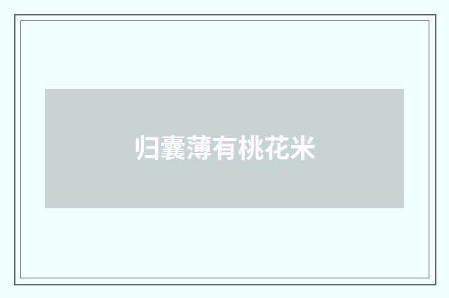 归囊薄有桃花米